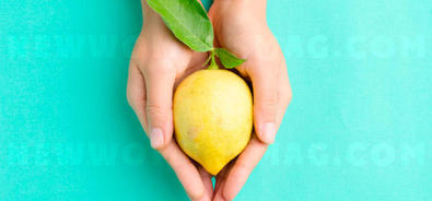 12 symptoms of breast cancer – illustrated by lemons </title>