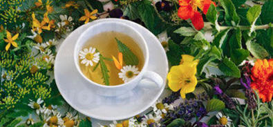 Healing power of nature